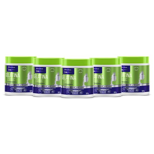 Kit Gelatina Hidra Fix 500g (5 itens)