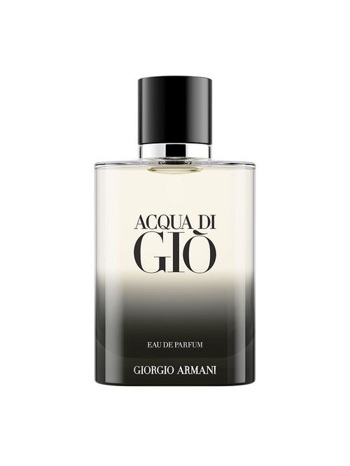 Acqua Di Gio Eau de Parfum Masculino 100ml Giorgio Armani