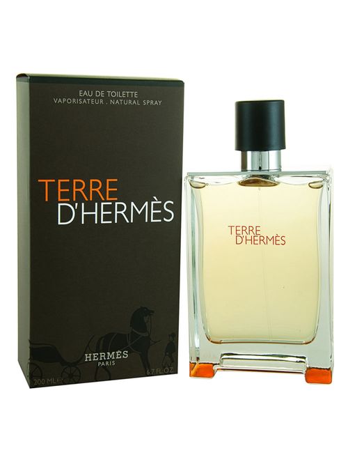 Terre D'Hermés Eau De Toilette Masculino 100 ml