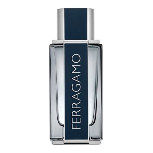 Perfume Masculino Salvatore Ferragamo Pour Homme Eau de Toilette 100ml