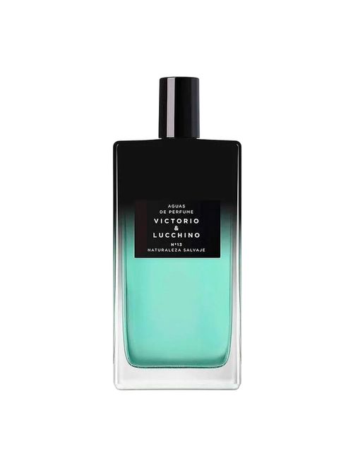 Nº 13 Naturaleza Salvaje Eau de Parfum Masculino 150ml Victorio & Lucchino